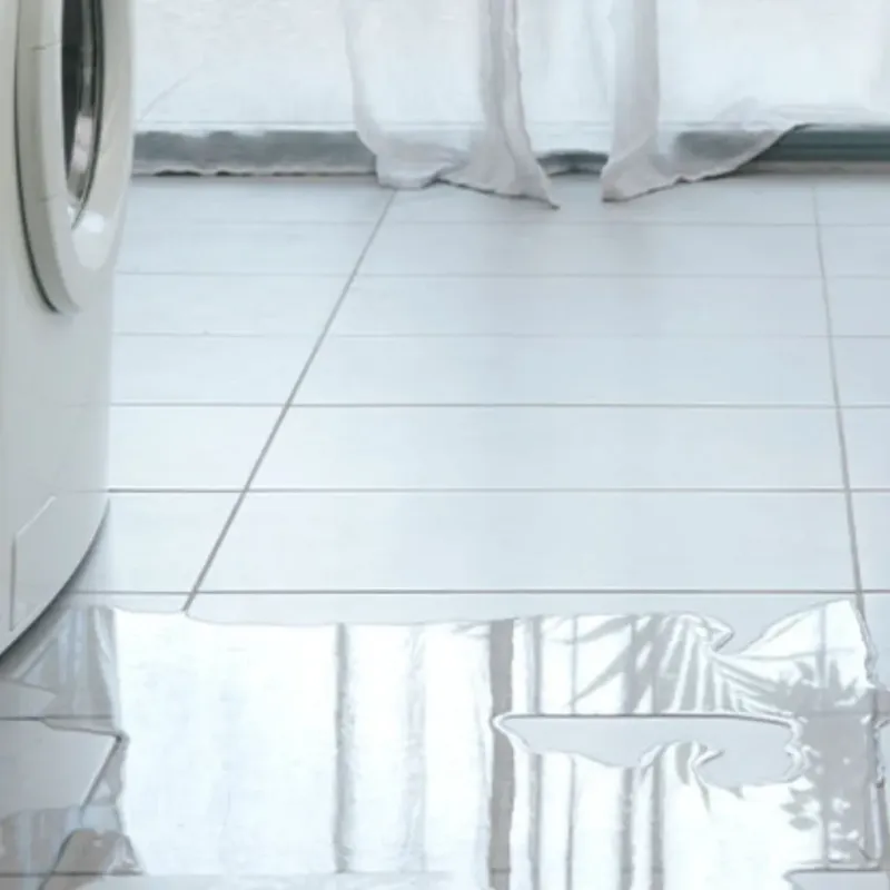 Appliance Leak Cleanup in Villa Grove, IL