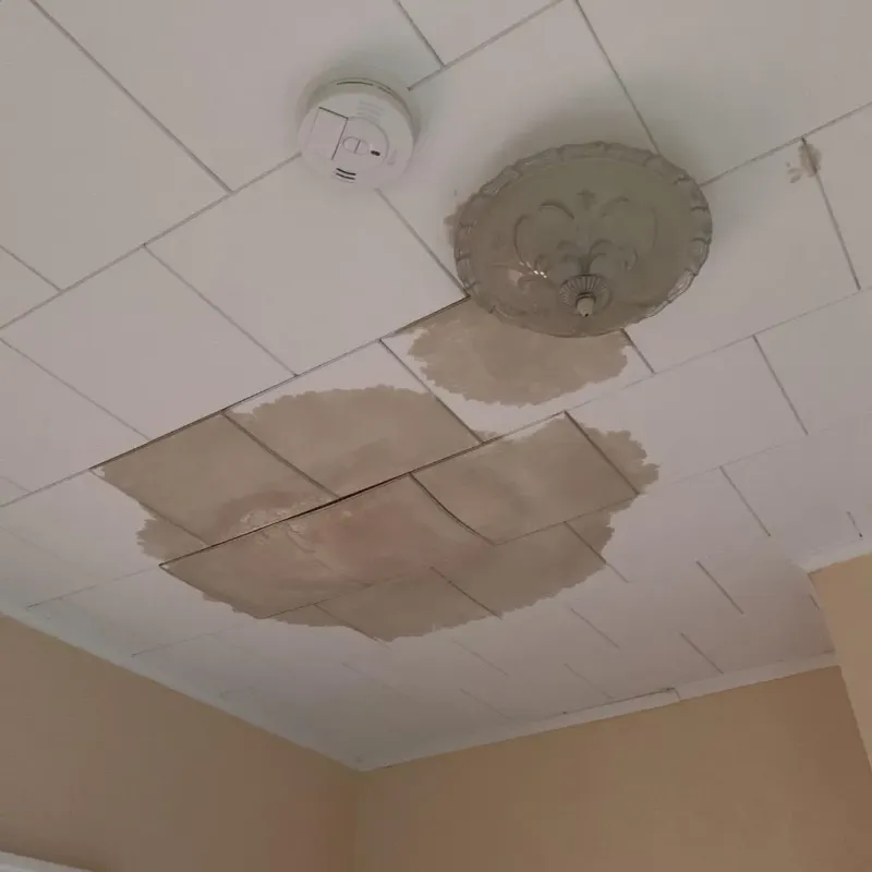 Ceiling Water Damage Repair in Villa Grove, IL
