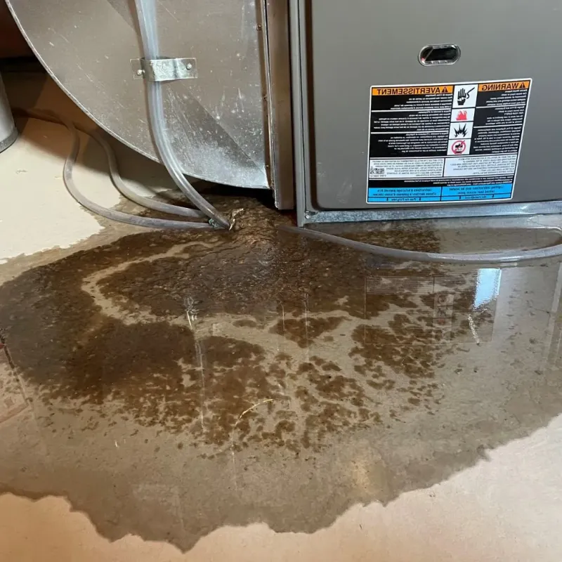 Pipe Burst and Leak Restoration in Villa Grove, IL