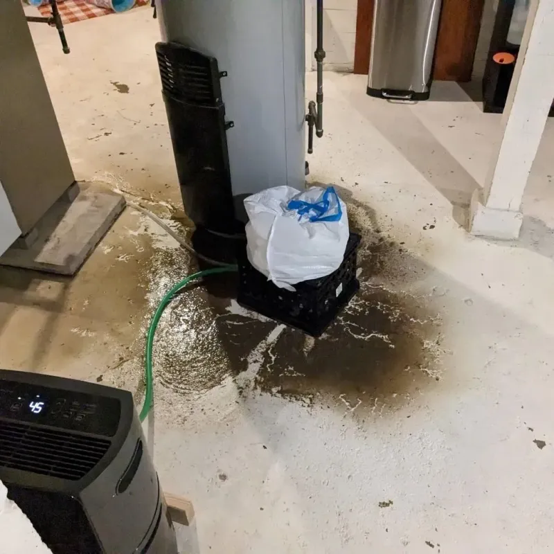 Sewage Backup Cleanup Service in Villa Grove, IL